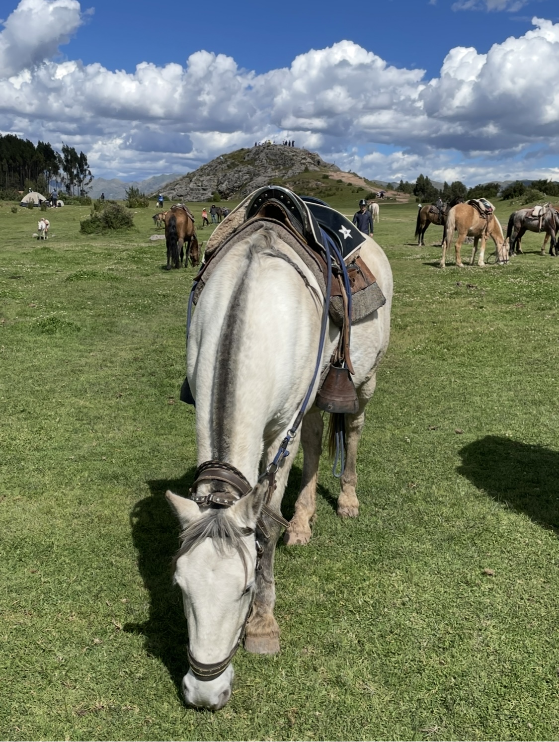 Sertar – 18 aprilie 2025
