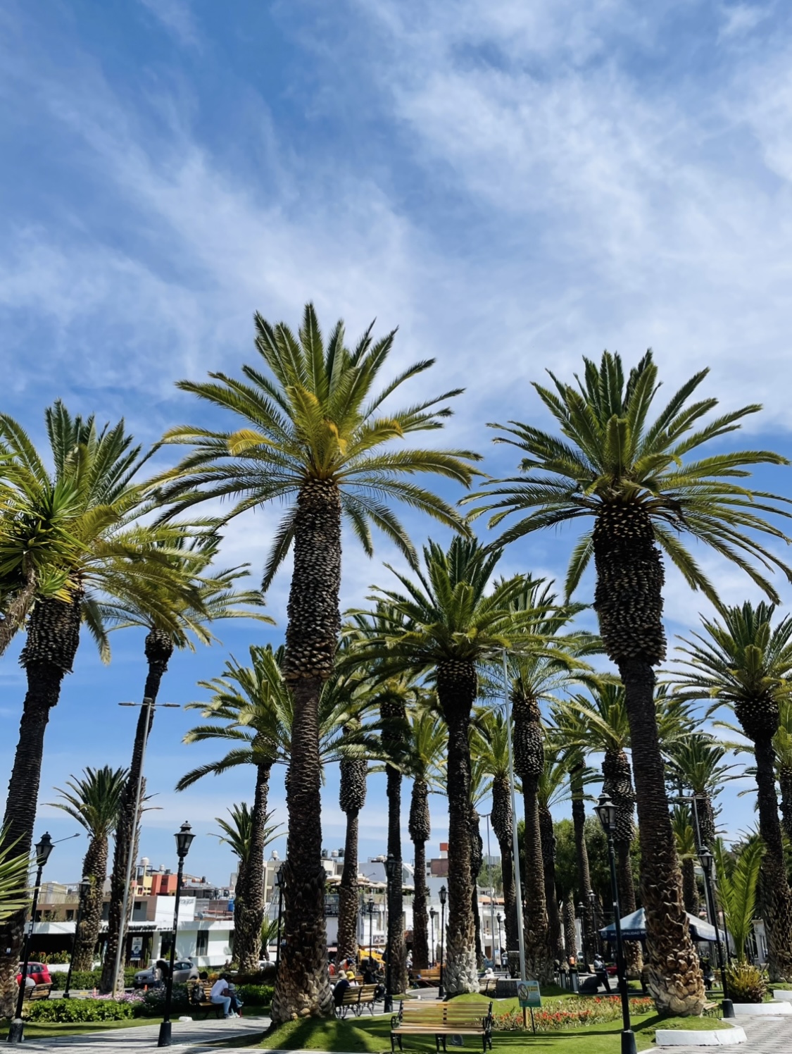 Sertar – 29 aprilie 2025