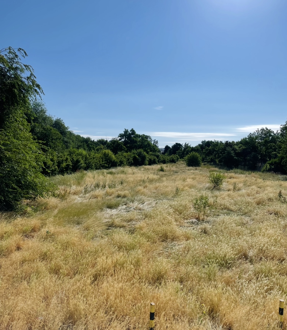 Sertar – 29 iunie 2025