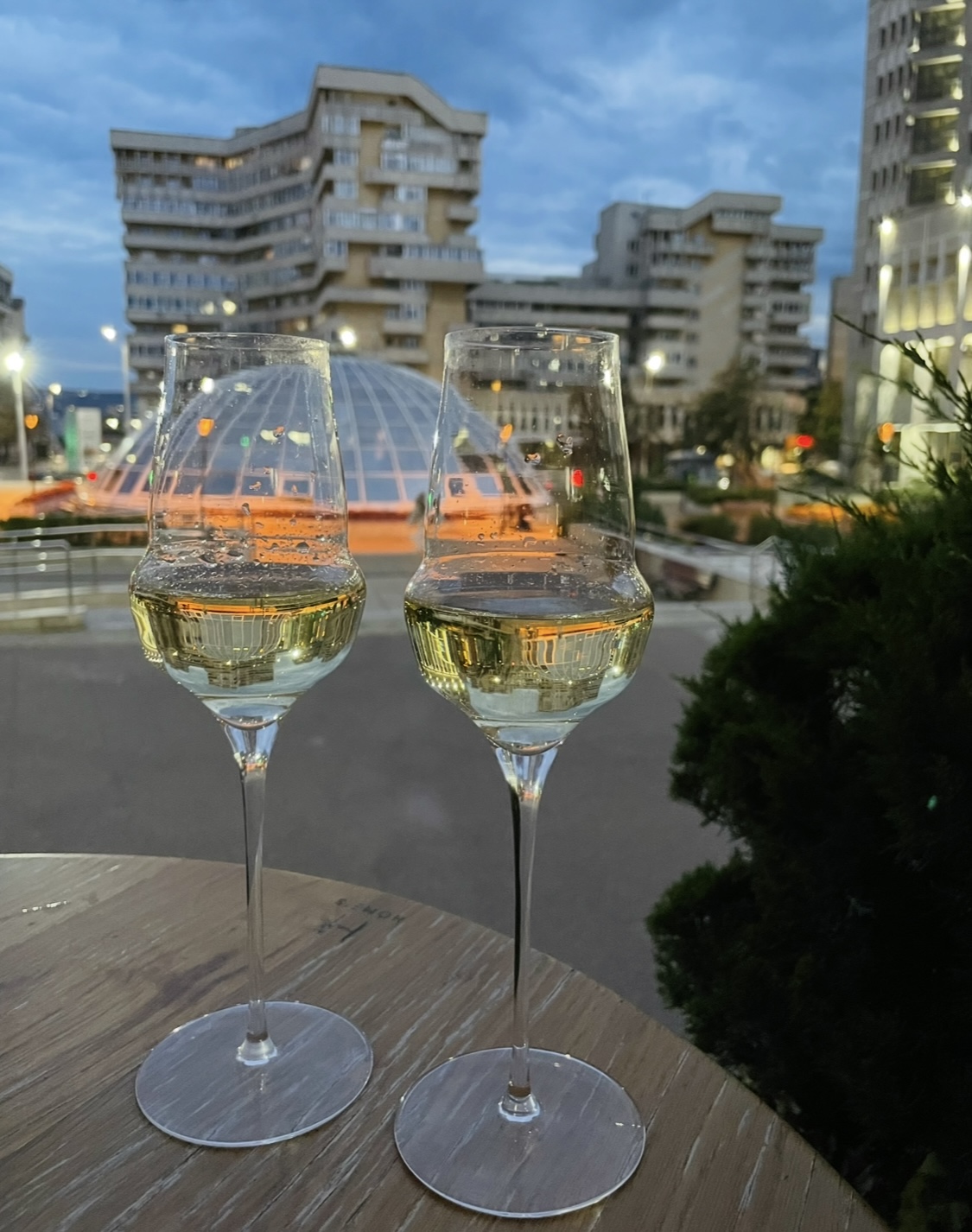 Sertar – 23 august 2025