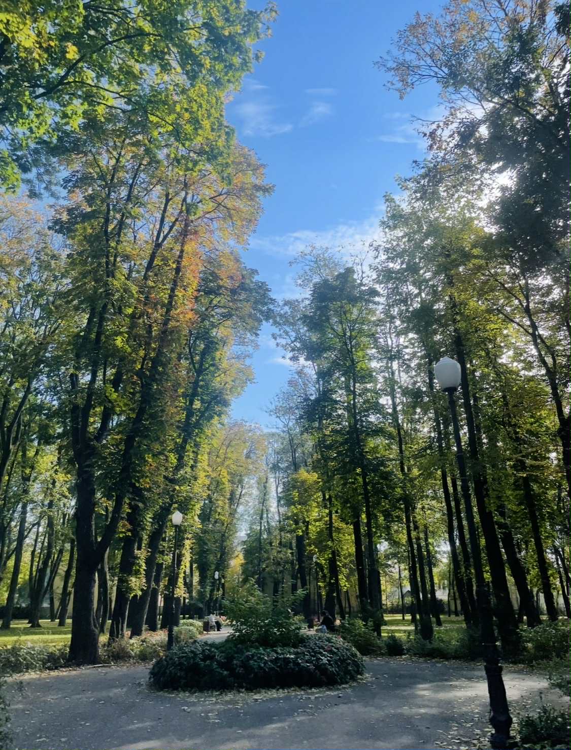 Sertar – 22 octombrie 2025