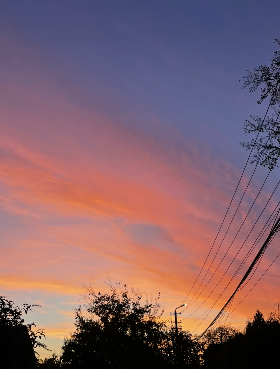 Sertar – 1 noiembrie 2026