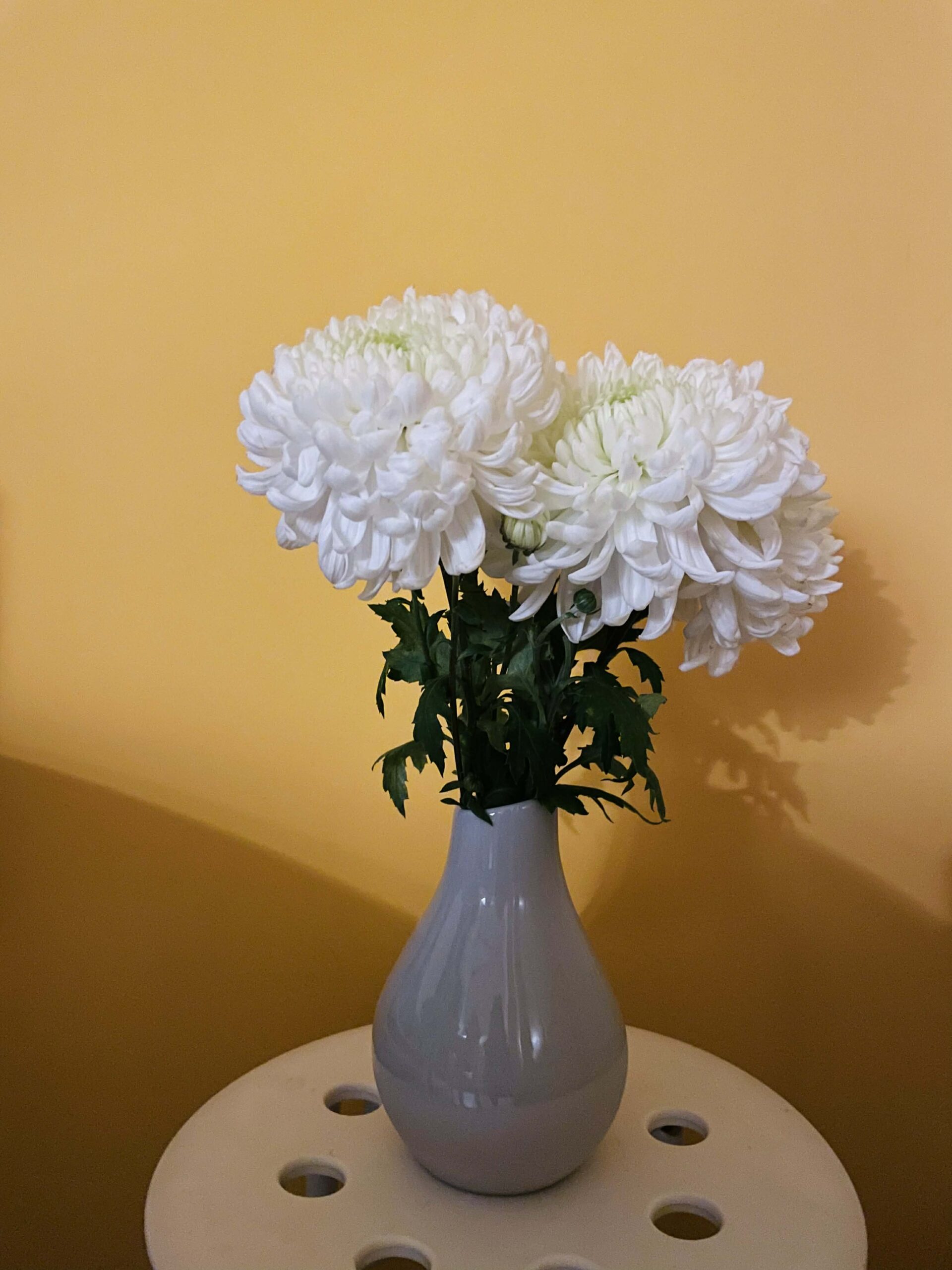 Sertar – 24 noiembrie 2025