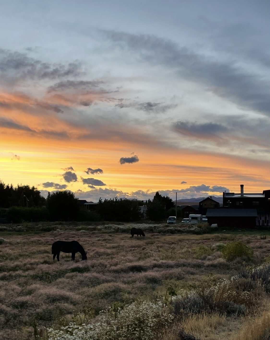 Sertar – 31 ianuarie 2026