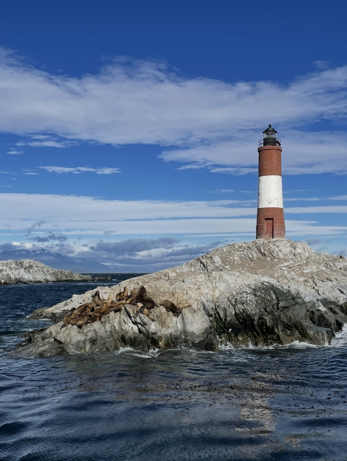 Sertar – 6 februarie 2026