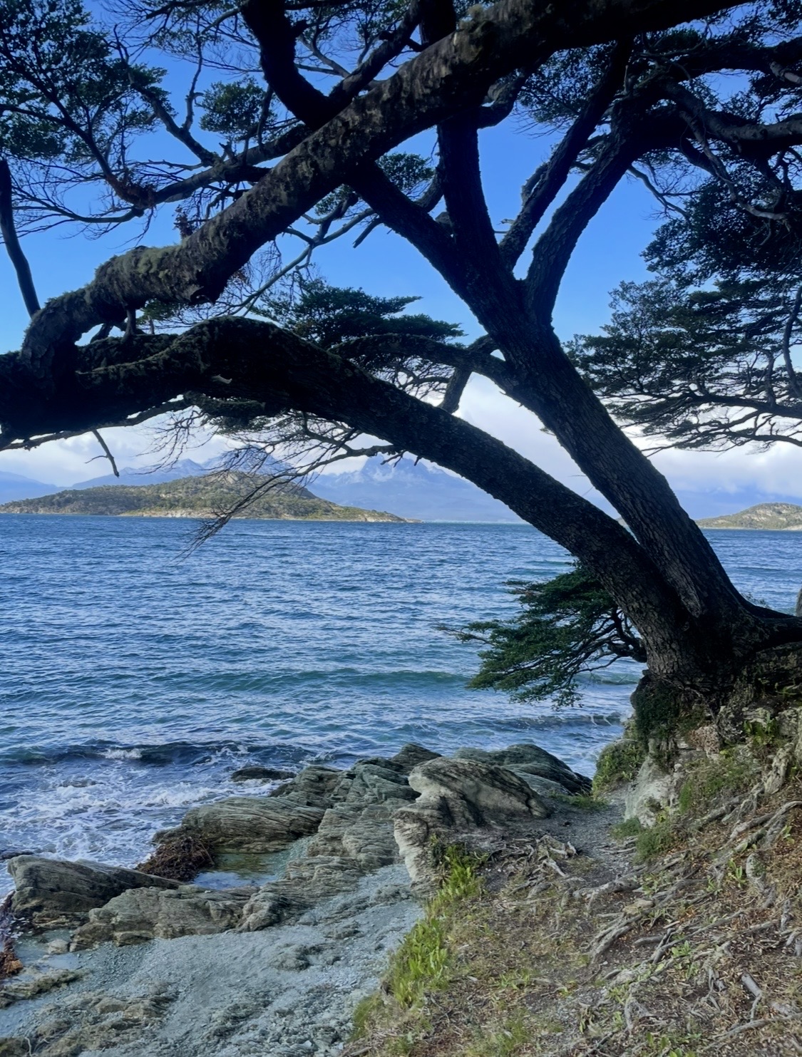 Sertar – 7 februarie 2026