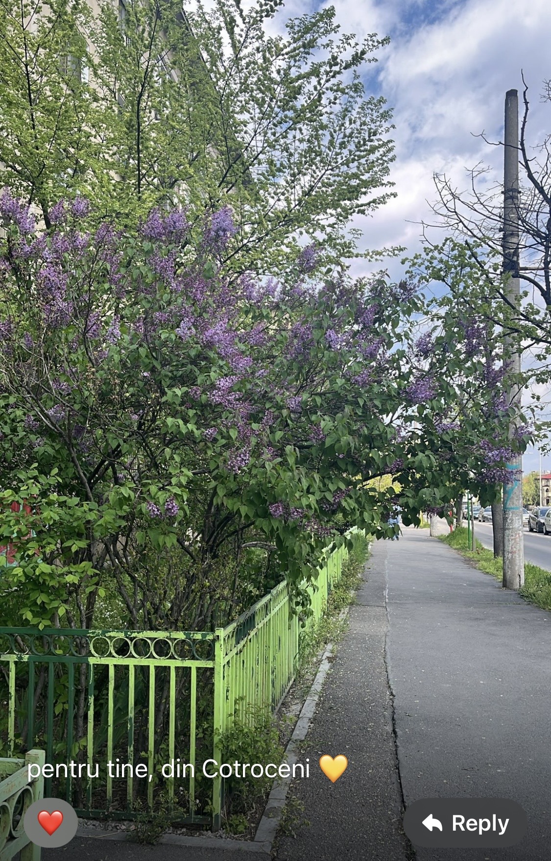 Sertar – 18 aprilie 2026